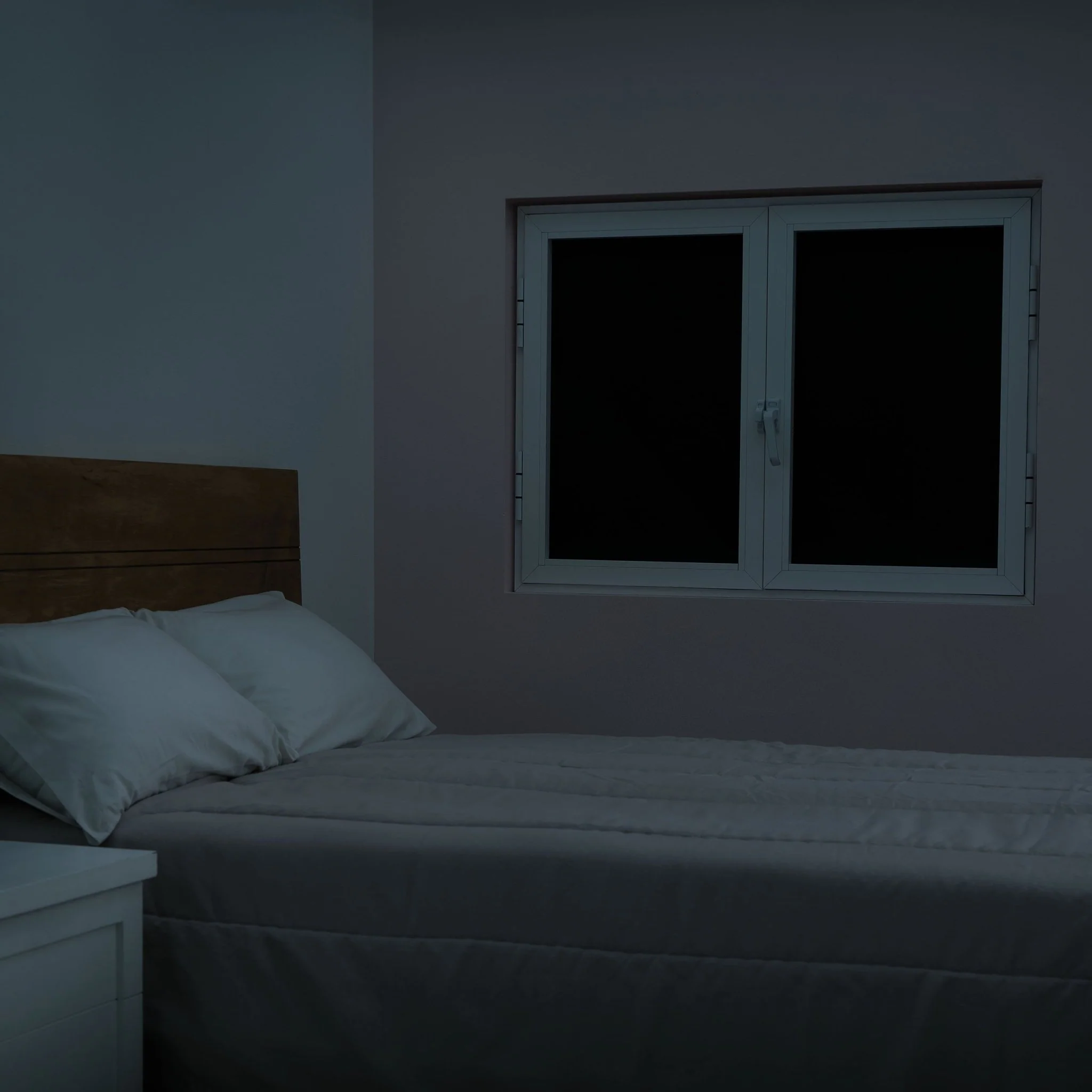 Adherible BlackOut (2 pzas) - Image 3