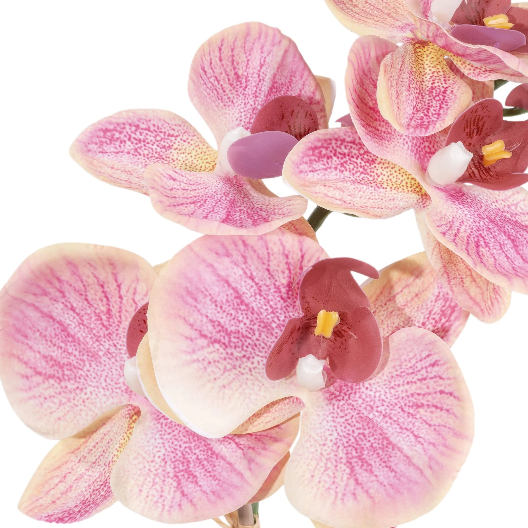 Deco Orquidea Coral - Image 2