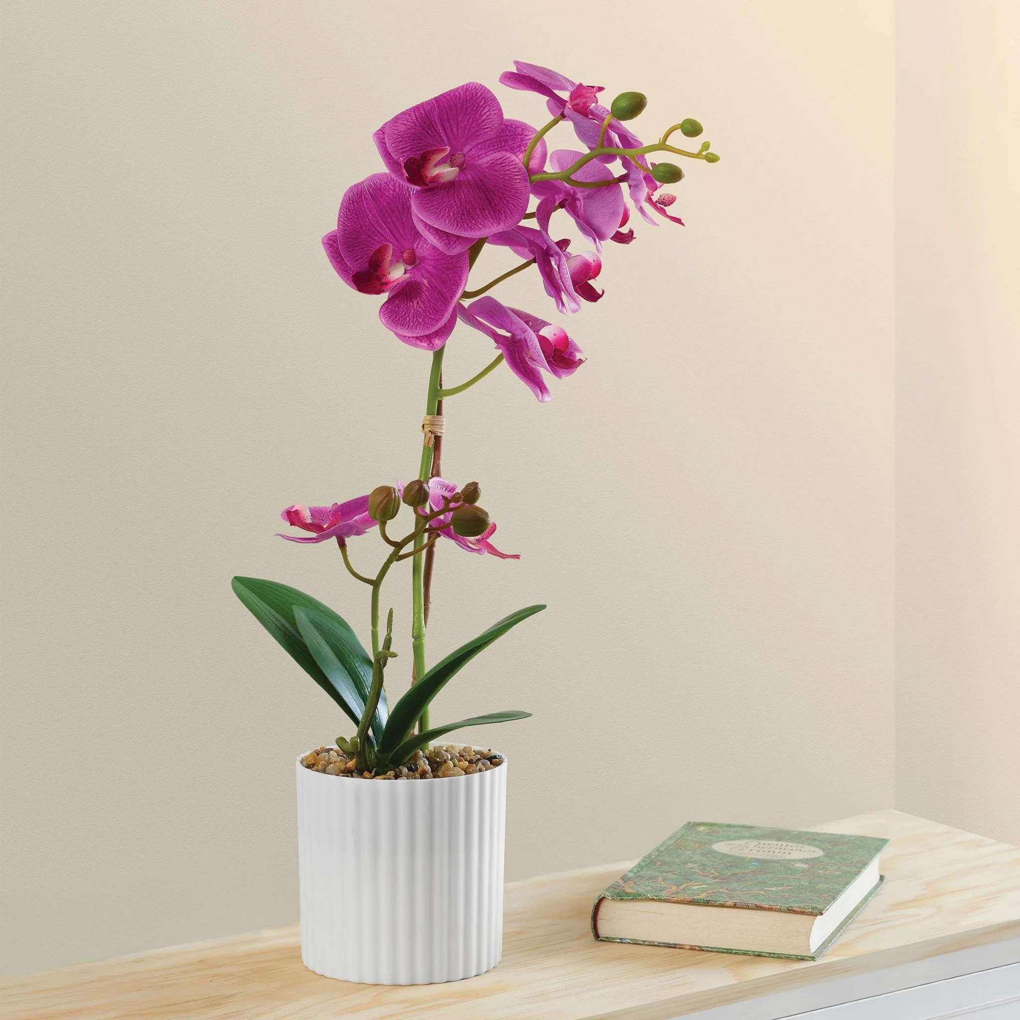 Deco Orquídea Purpura