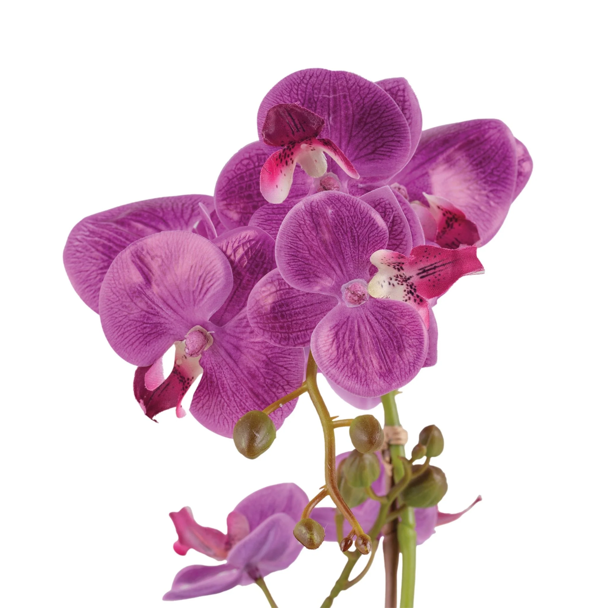 Deco Orquídea Purpura - Image 2