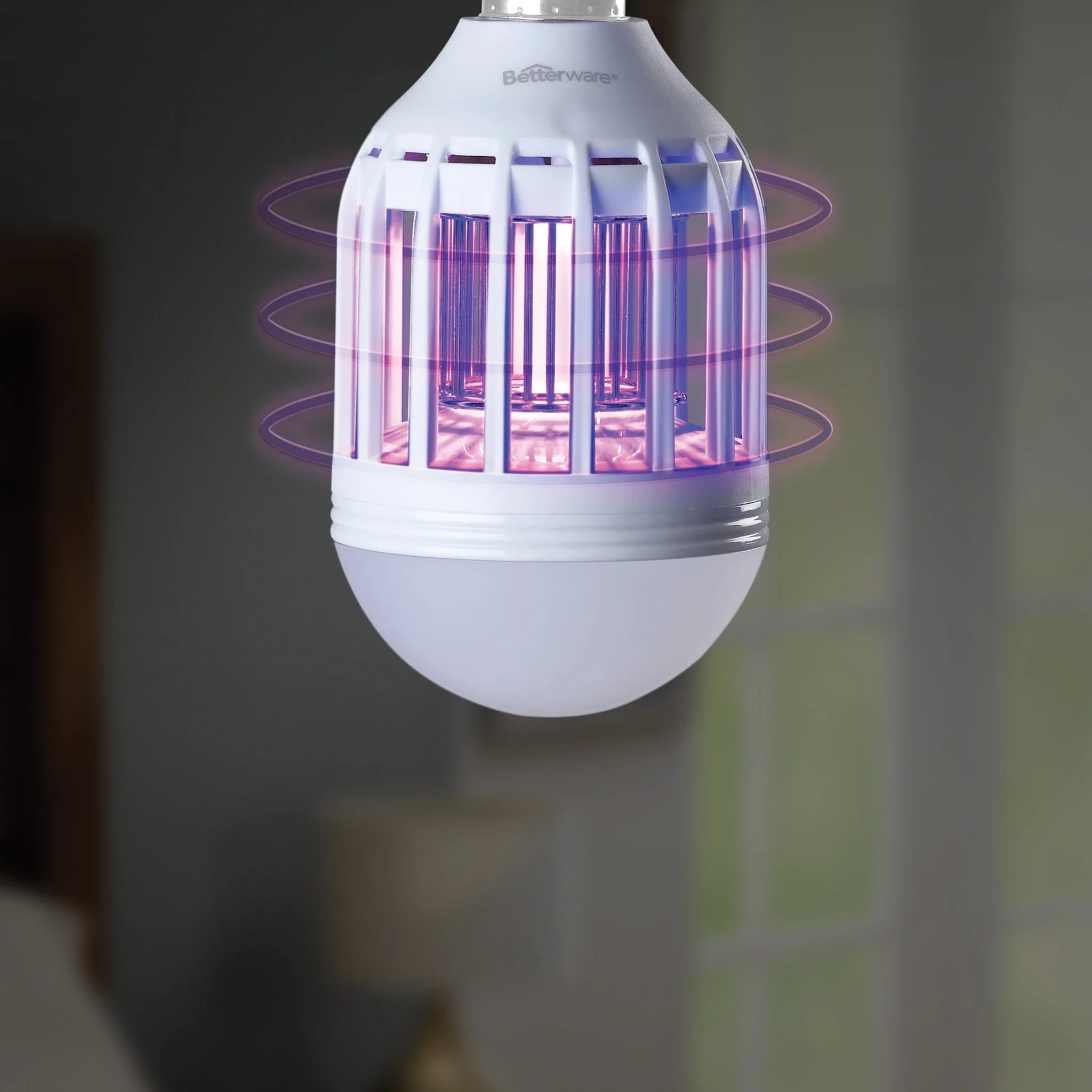 Luz Shock - Image 2