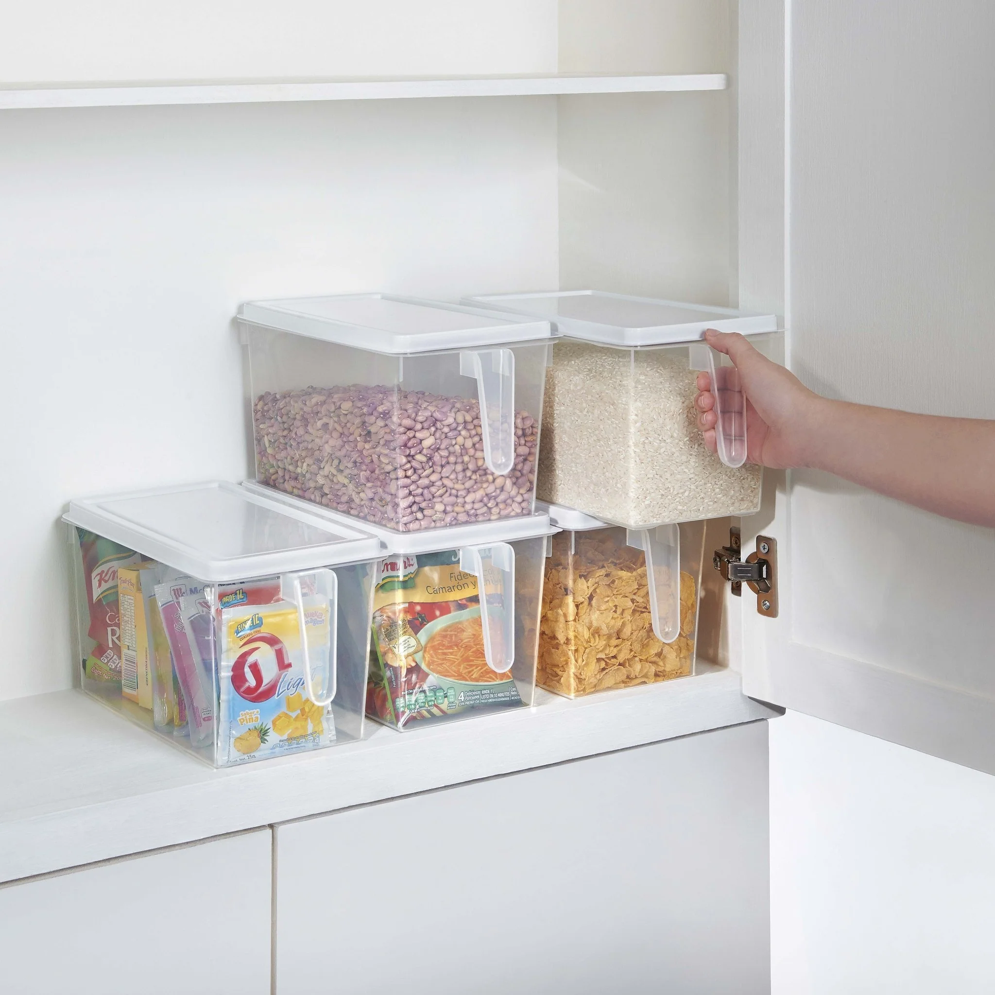 Organi Alimentos - Image 2