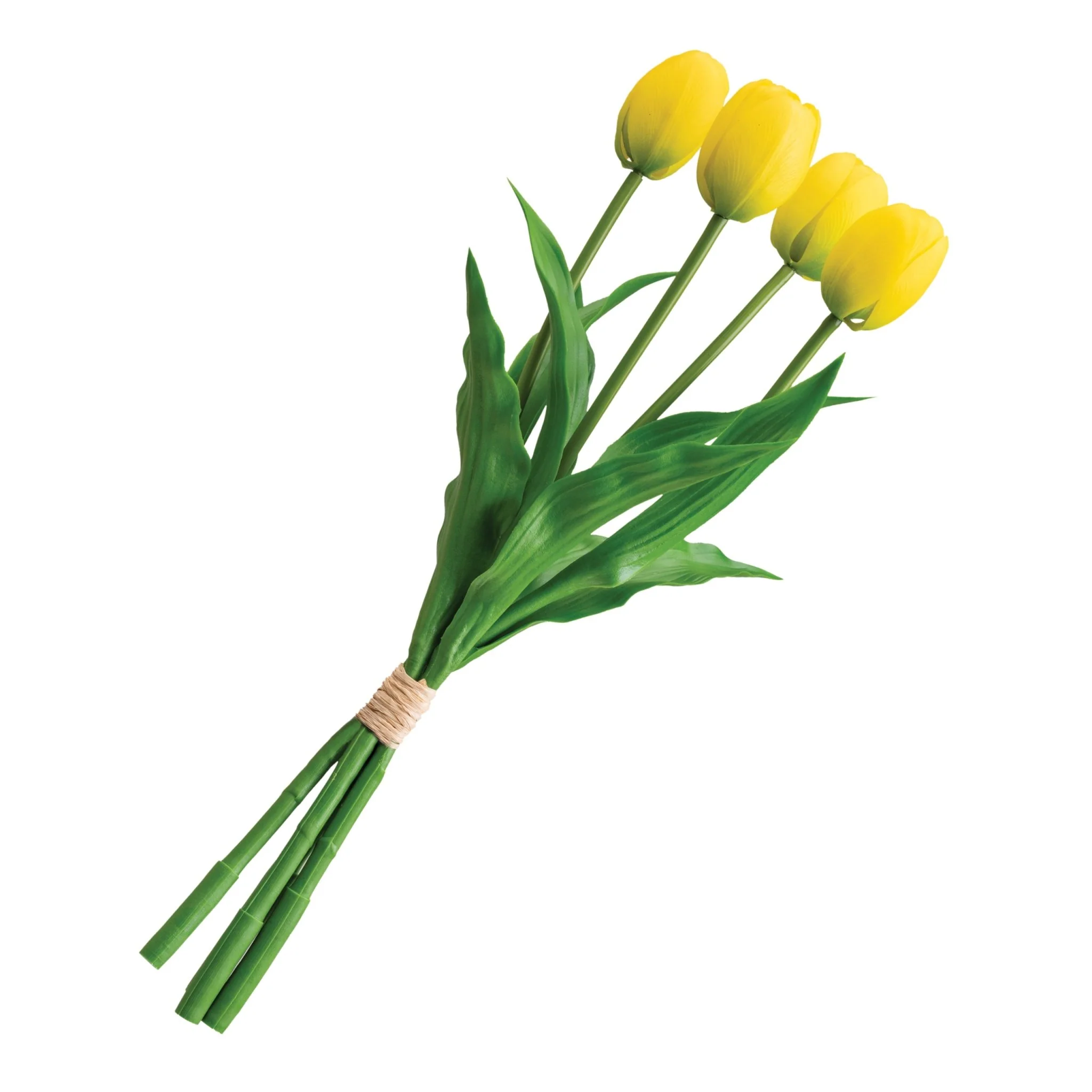 Set Deco Tulipanes - Image 2